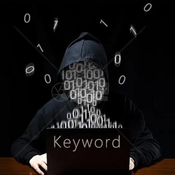 LS-DYNA keyword 文件加密
